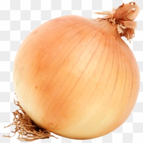 Onion Png, Transparent Png - onion png