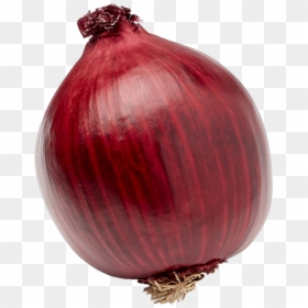 Onion Png, Transparent Png - onion png