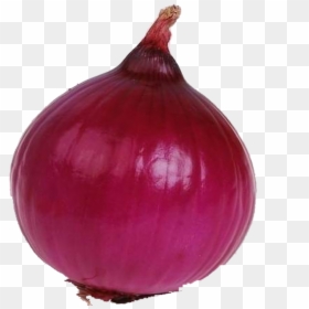 Onion Clipart, HD Png Download - onion png
