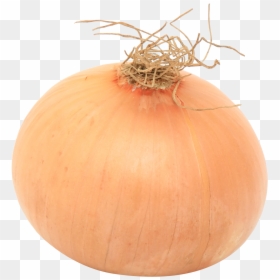 Onion Png, Transparent Png - onion png