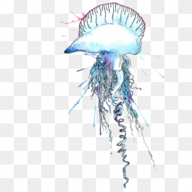Man O War Jellyfish Png, Transparent Png - jellyfish png