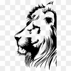 Black And White Clipart Lion, HD Png Download - lion head png