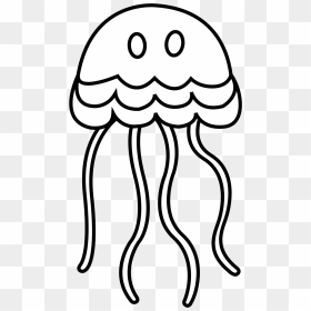Jellyfish Png, Transparent Png - jellyfish png