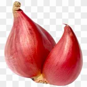 Shallot Ssj transparent background PNG clipart