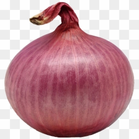 Download Image Of An Onion, HD Png Download - onion png
