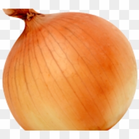 Squash, HD Png Download - onion png