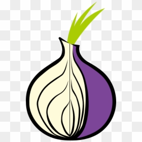 Onion Tor, HD Png Download - onion png