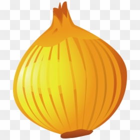Onion, HD Png Download - onion png