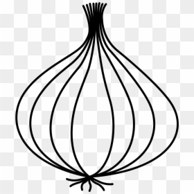 Drawing Image Of Onion, HD Png Download - onion png