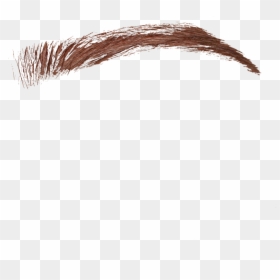 Бровь Пнг, HD Png Download - eyebrow png