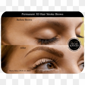 Eyelash Extensions, HD Png Download - eyebrow png