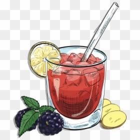 Transparent Background Cocktail Clipart, HD Png Download - cocktail png