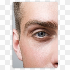 Mens Eyebrow, HD Png Download - eyebrow png