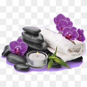 Type Pc, Orchid On Stone - Spa Candles Png, Transparent Png - purple orchid png