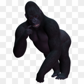 Western Gorilla Transparency And Translucency Clip - Gorilla Transparent Background, HD Png Download - harambe png transparent