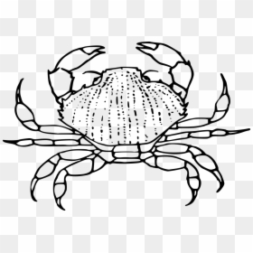 Crab - Crab Black And White Clip Art, HD Png Download - crab silhouette png