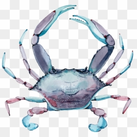 Crab Png Transparent Images - Caranguejo Que Muda De Cor, Png Download - crab silhouette png