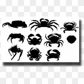 Insect, HD Png Download - crab silhouette png