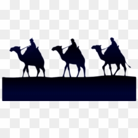Epiphany Three Kings On A Camel - Feast Of The Epiphany, HD Png Download - crab silhouette png