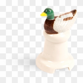 Mallard, HD Png Download - mallard duck png