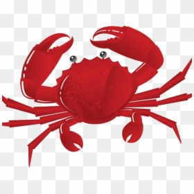Seafood Clipart Crab Walk - Transparent Background Crab Clipart, HD Png Download - crab clipart png
