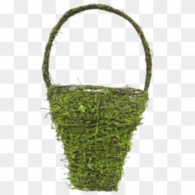 18 - Moss, HD Png Download - vine wall png
