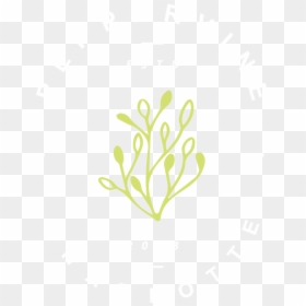 Peppervine Restaurant - Illustration, HD Png Download - vine wall png
