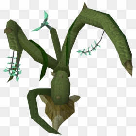 Wallace's Flying Frog, HD Png Download - vine wall png