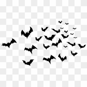 Transparent Halloween Bats Png - Transparent Background Bats Png, Png Download - batman bats png
