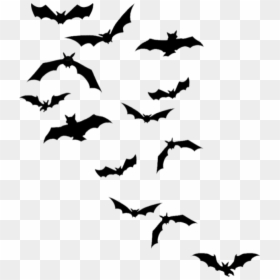 Chauves-souris Png, Tube Halloween - Flying Bats Silhouette, Transparent Png - batman bats png