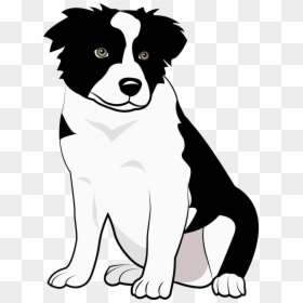 Breed,canidae,border Shepherd,companion Dog,working - Collie Pup Art, HD Png Download - border collie png