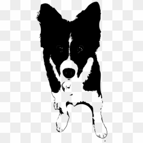 This Free Icons Png Design Of Border Collie Puppy , - Dog Clipart Border Collie, Transparent Png - border collie png