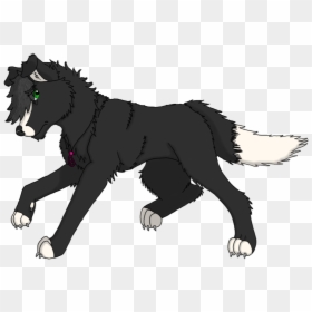 Border Collie Tf - Dog Catches Something, HD Png Download - vhv