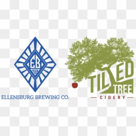 Ellensburg Brewery & Tilted Tree Cidery - Tree, HD Png Download - tilted kilt logo png