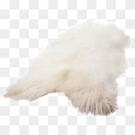 Feather, HD Png Download - fur rug png