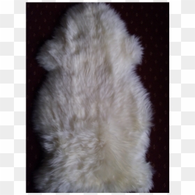 Fur Clothing, HD Png Download - fur rug png