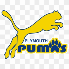 Plymouth Scholars Pumas Car Decal - Plymouth Scholars Puma Logo, HD Png Download - car decal png
