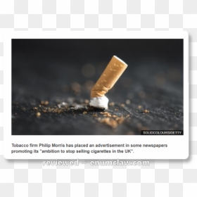Cigarette On The Ground, HD Png Download - burning cigarette png