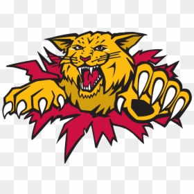 Moncton Wildcats Logo, HD Png Download - wildcats png