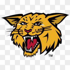 Moncton Wildcats Mascotte - Moncton Wildcats, HD Png Download - wildcats png
