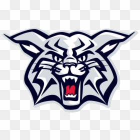 School Logo - Westview High School Logo, HD Png Download - wildcats png