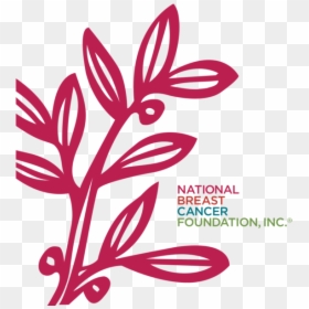 National Breast Cancer Foundation Logo Black , Transparent - Transparent National Breast Cancer Foundation Logo, HD Png Download - breast cancer butterfly png