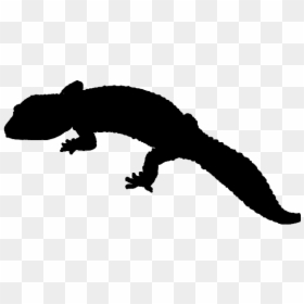 Reptile Lizard Common Leopard Gecko - Reptile Silhouette Leopard Gecko, HD Png Download - reptile png