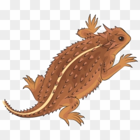 Illustration, HD Png Download - reptile png