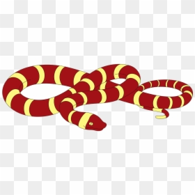 Transparent Snake Clipart - Snakes Clip Art, HD Png Download - reptile png