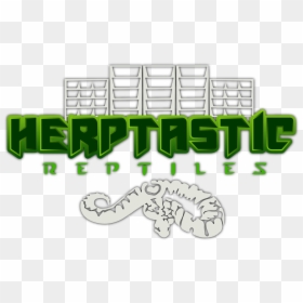 Herptastic - Python, HD Png Download - reptile png