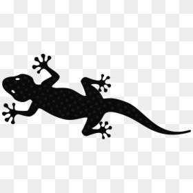 Gecko Reptile Lizard Gekkota Chameleons Free Commercial - Gecko Clipart, HD Png Download - reptile png