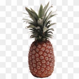 Pineapple Png Image Download" 								 Title= - Pineappls Print Decor, Transparent Png - the amazing world of gumball png
