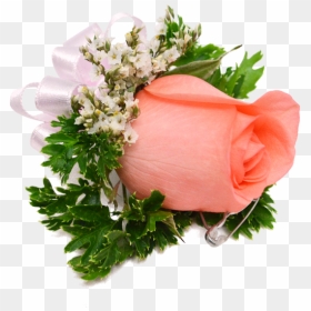 Boutonniere Rose Coralpink - Bouquet, HD Png Download - corsage png