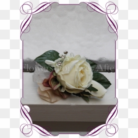 Transparent Corsage Png - Garden Roses, Png Download - corsage png
